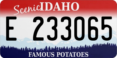 ID license plate E233065