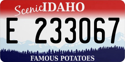 ID license plate E233067