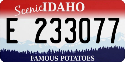 ID license plate E233077