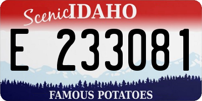 ID license plate E233081