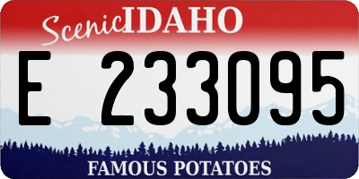 ID license plate E233095