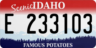 ID license plate E233103