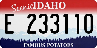 ID license plate E233110
