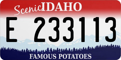 ID license plate E233113