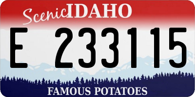 ID license plate E233115