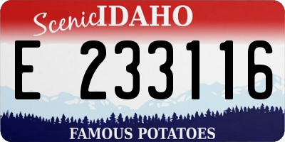 ID license plate E233116