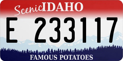 ID license plate E233117