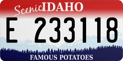 ID license plate E233118