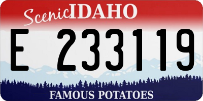 ID license plate E233119