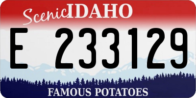 ID license plate E233129