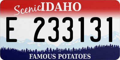 ID license plate E233131