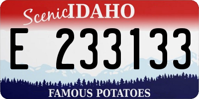 ID license plate E233133