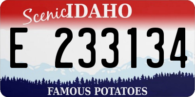ID license plate E233134