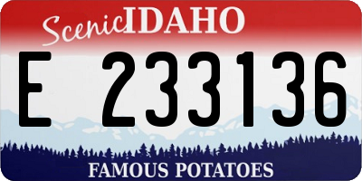 ID license plate E233136