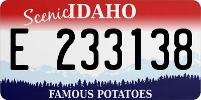 ID license plate E233138