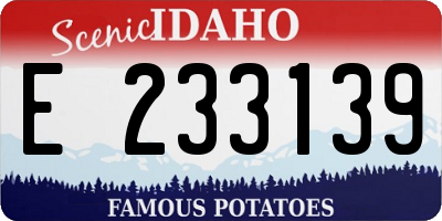 ID license plate E233139