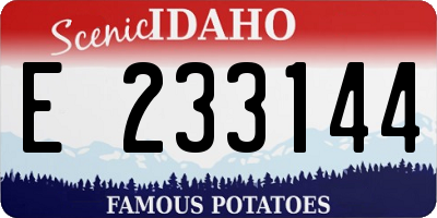 ID license plate E233144