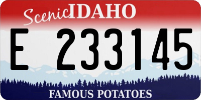 ID license plate E233145