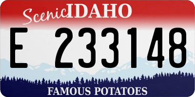 ID license plate E233148