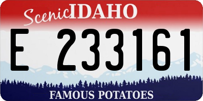 ID license plate E233161