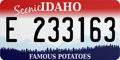 ID license plate E233163