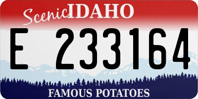ID license plate E233164