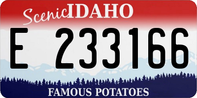 ID license plate E233166