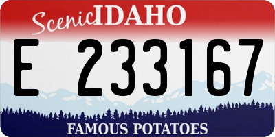 ID license plate E233167