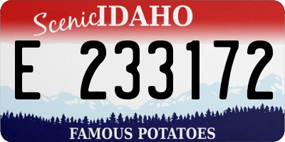 ID license plate E233172