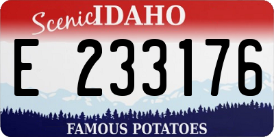 ID license plate E233176