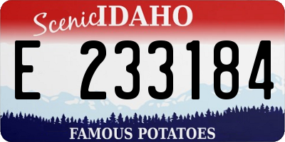 ID license plate E233184