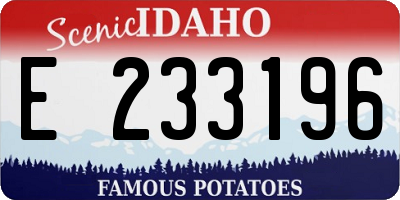 ID license plate E233196