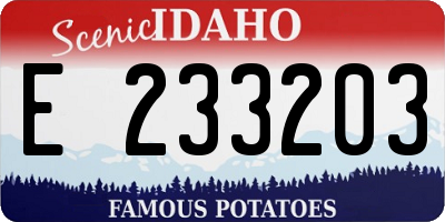 ID license plate E233203