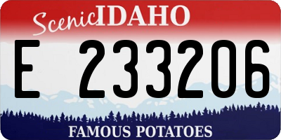 ID license plate E233206