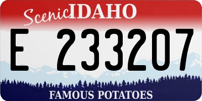 ID license plate E233207