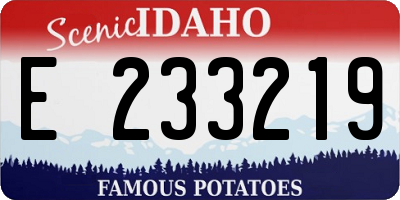 ID license plate E233219