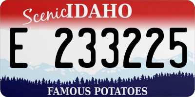ID license plate E233225