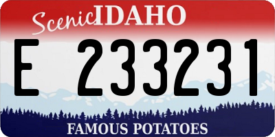 ID license plate E233231