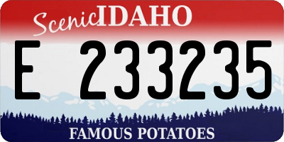 ID license plate E233235