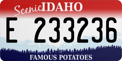 ID license plate E233236