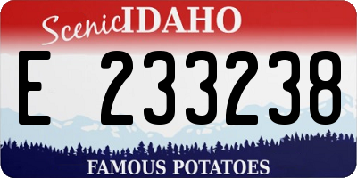 ID license plate E233238