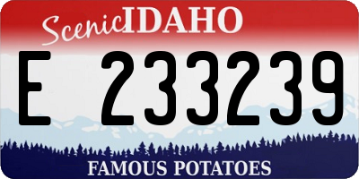 ID license plate E233239