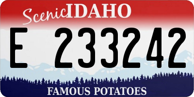 ID license plate E233242