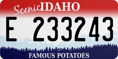 ID license plate E233243