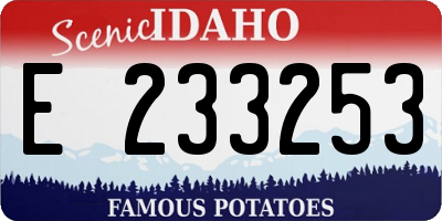 ID license plate E233253