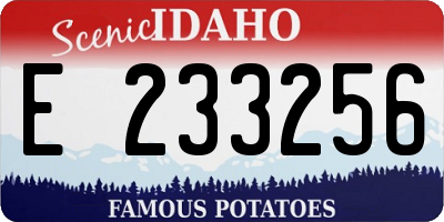 ID license plate E233256