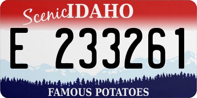 ID license plate E233261