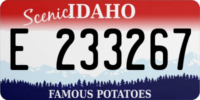 ID license plate E233267