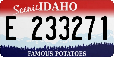 ID license plate E233271