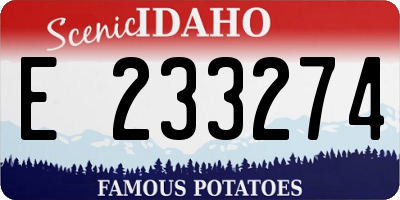 ID license plate E233274